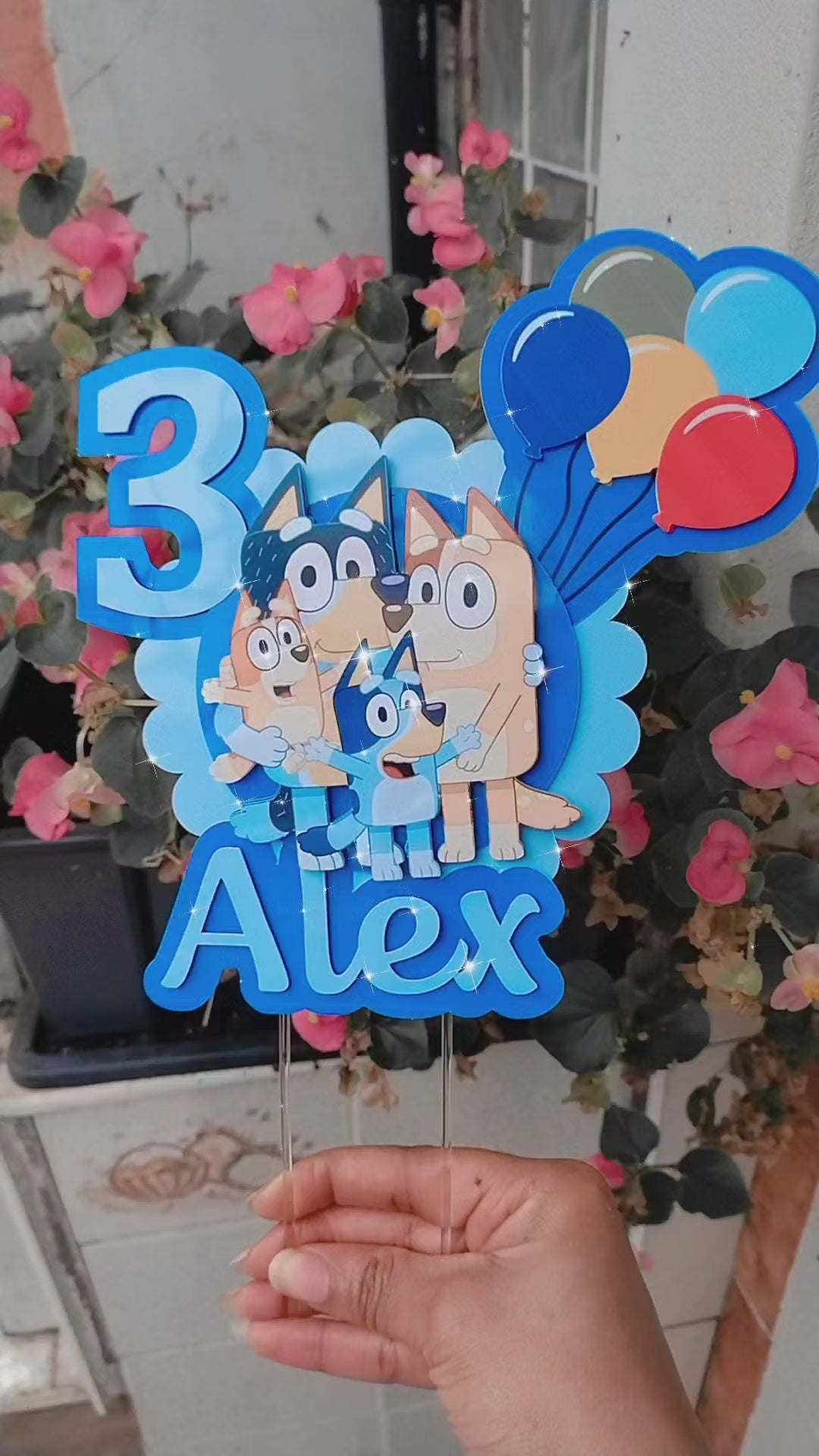 Bluey Bingo Birthday Cake Topper Personalised Name & Age