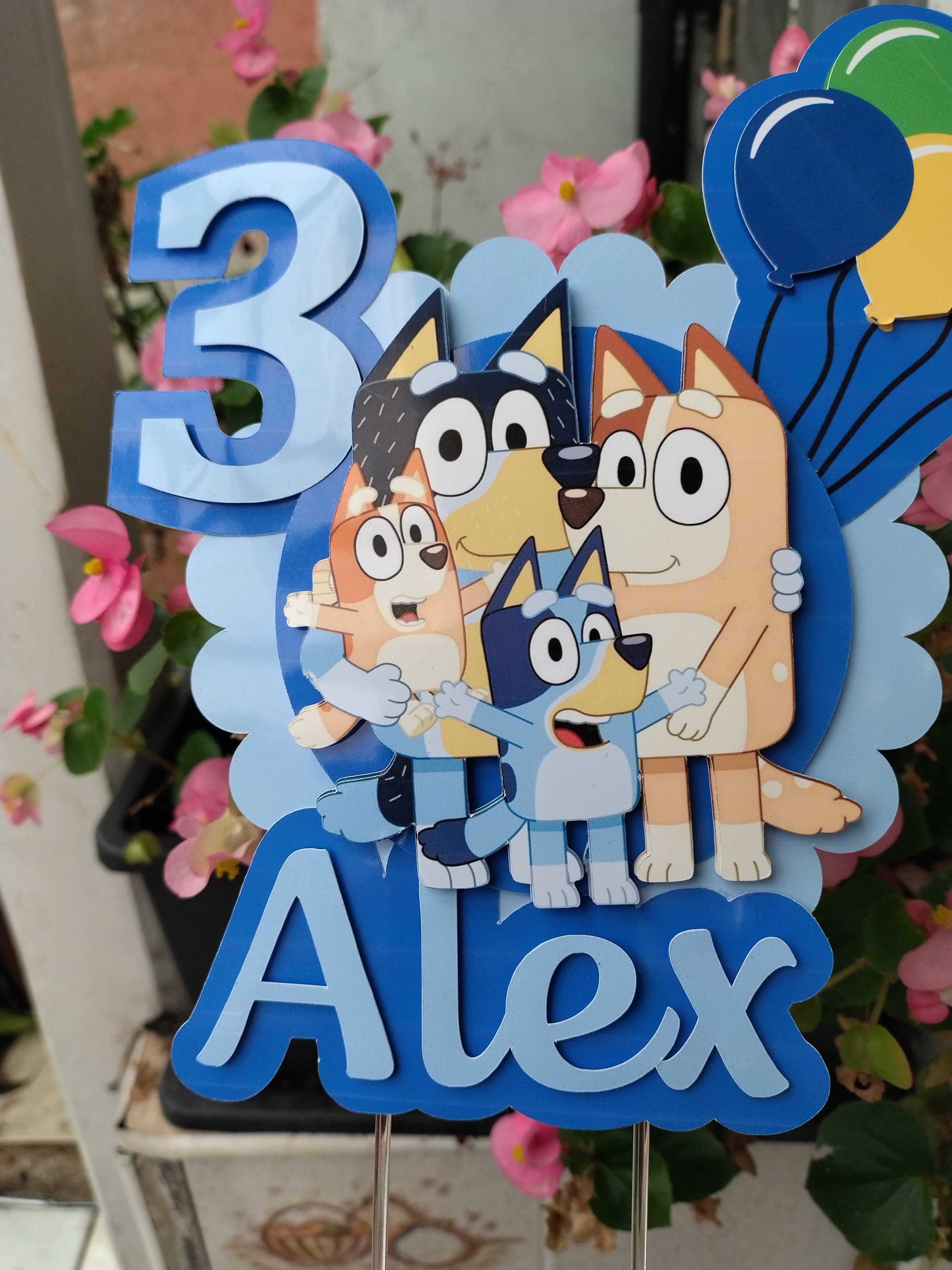 Bluey Bingo Birthday Cake Topper Personalised Name & Age